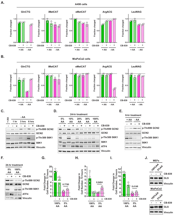 Figure 2—figure supplement 1.