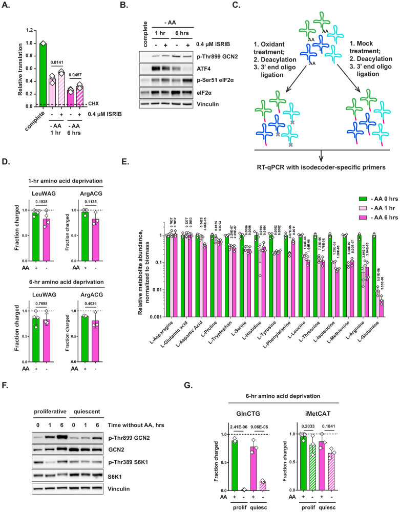 Figure 1—figure supplement 1.