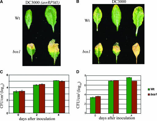 Figure 2.