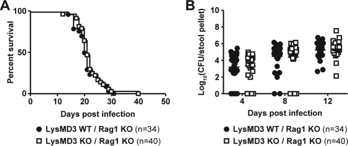 Figure 10.