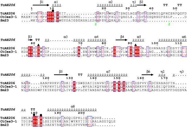 Supplementary Fig. S1