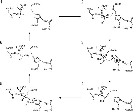 Fig. 4