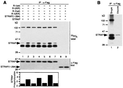 FIG. 8