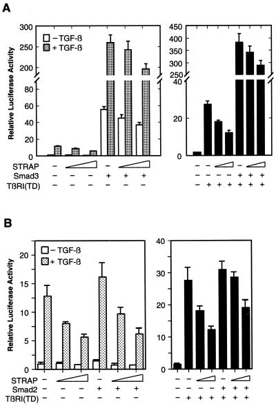 FIG. 6