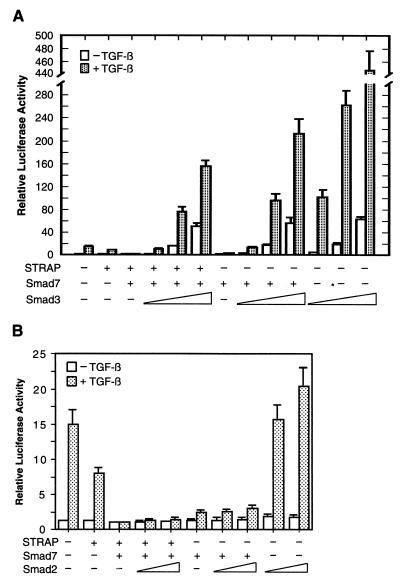 FIG. 7