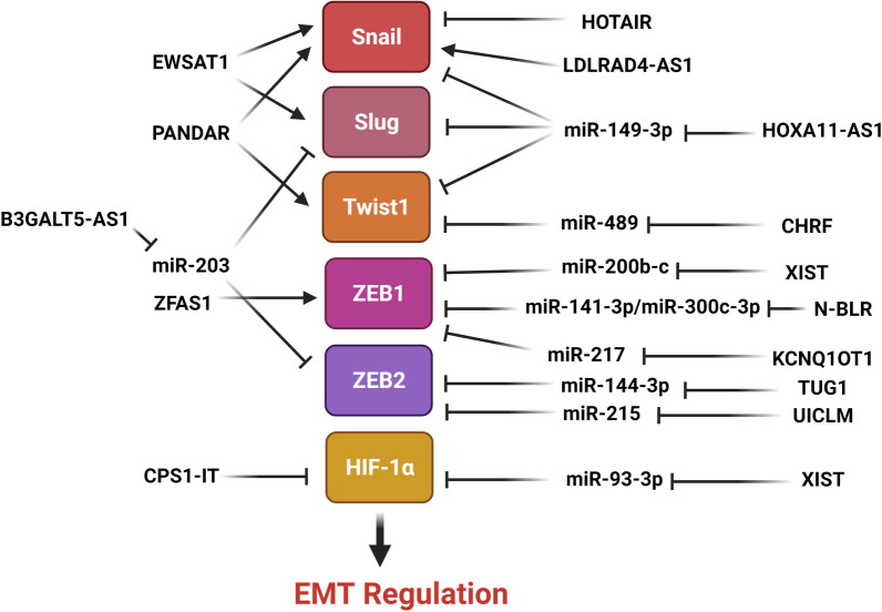 Figure.3.