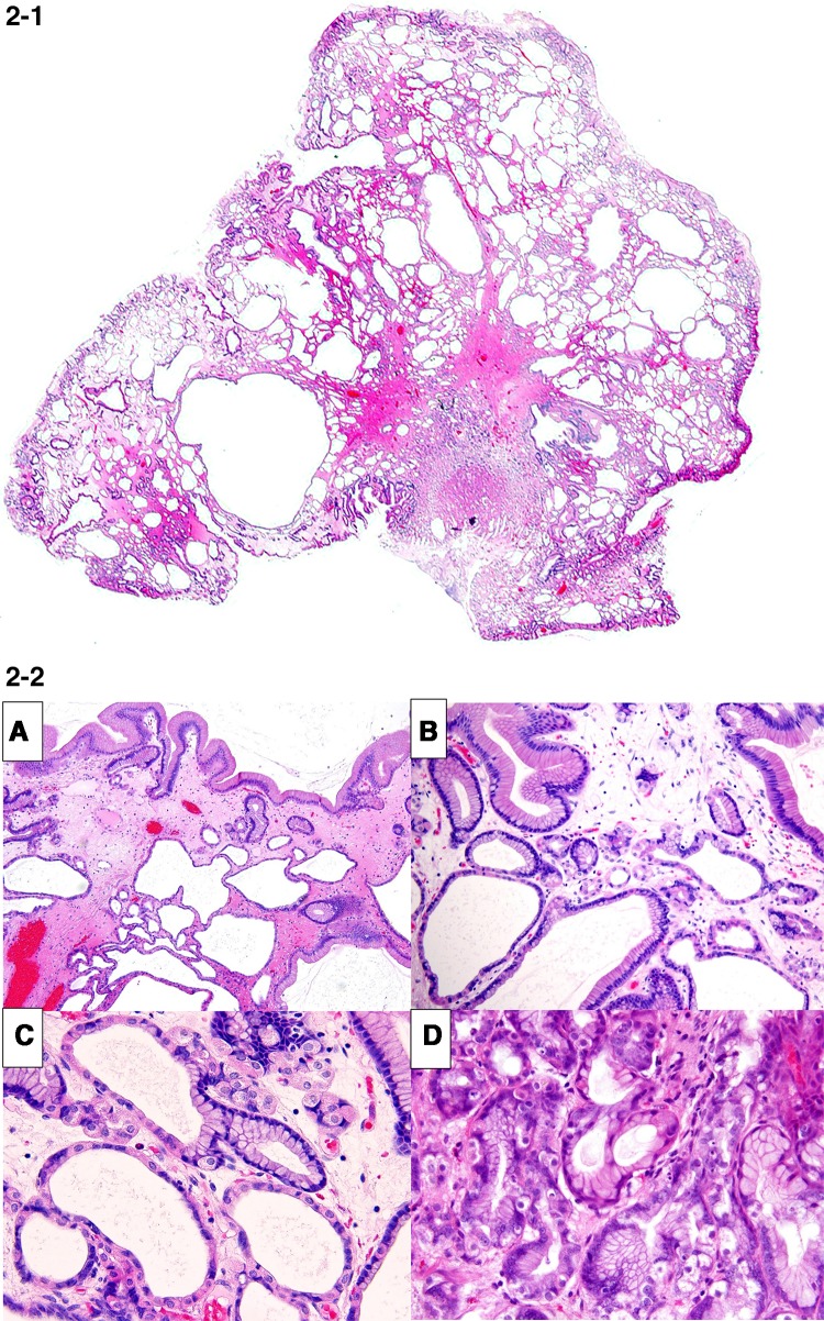 Fig. 2