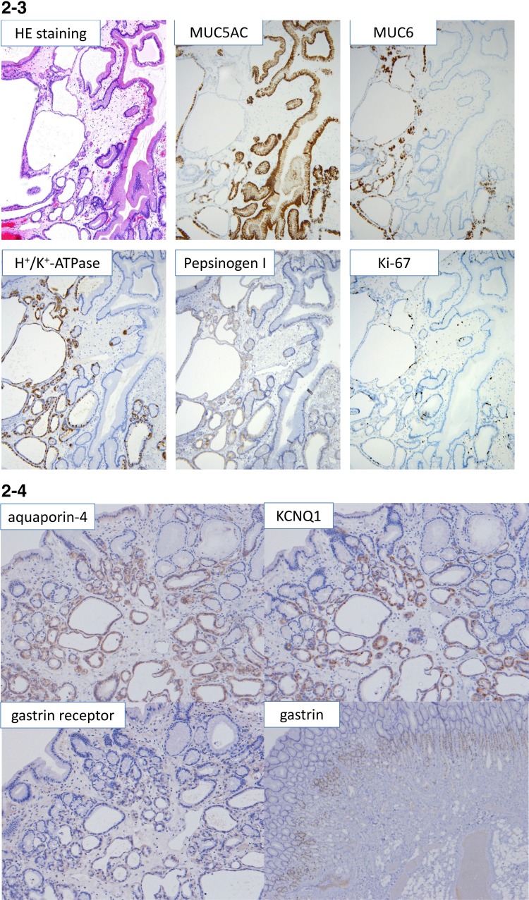 Fig. 2