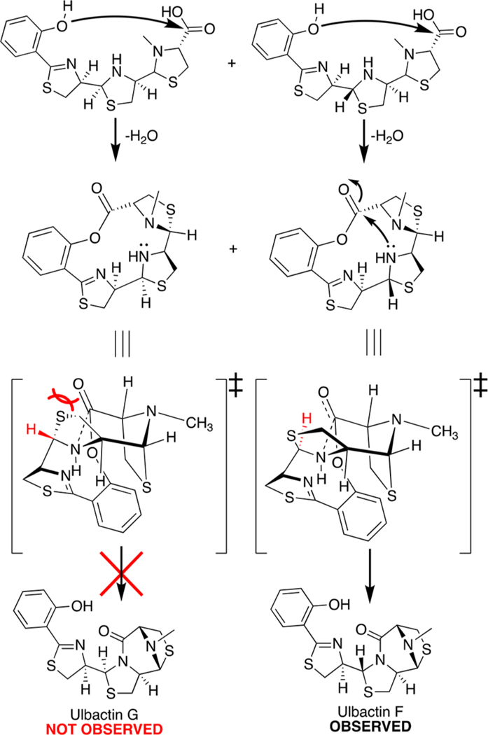 Scheme 2.