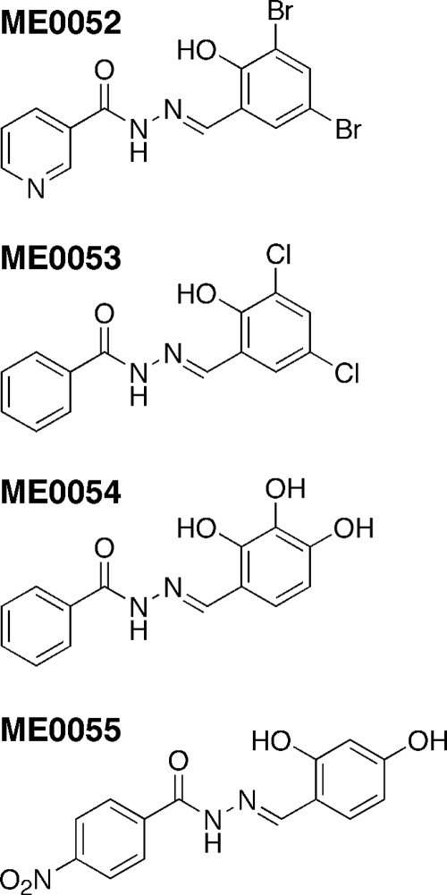 FIG. 1.