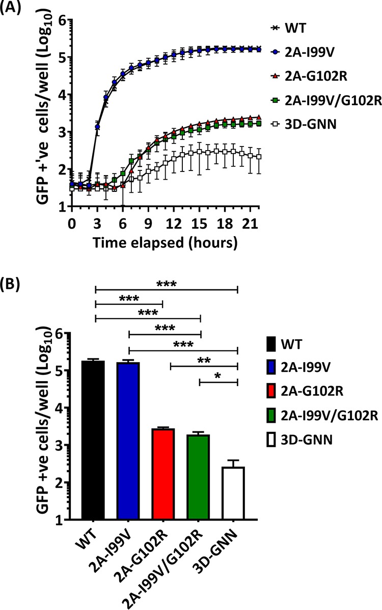 FIG 4