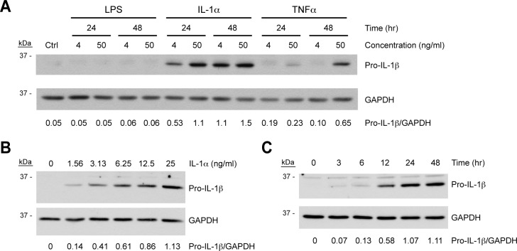 Figure 3. 