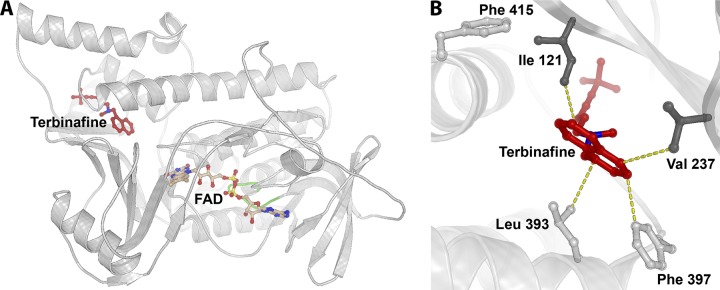 FIG 1