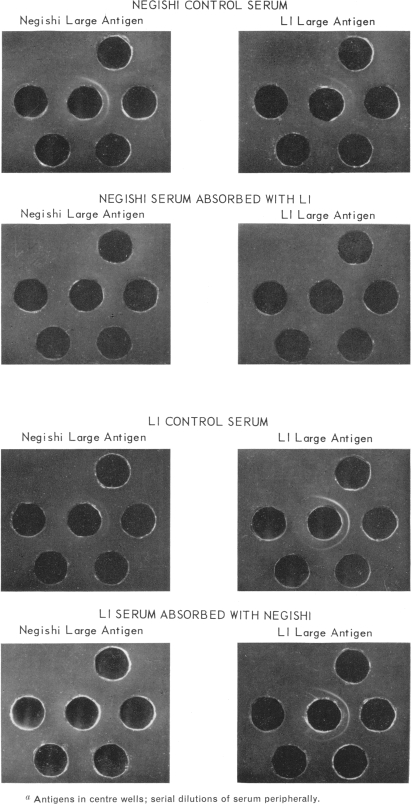 PLATE 1