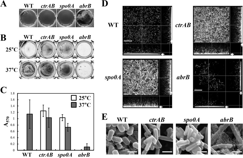 FIG 3