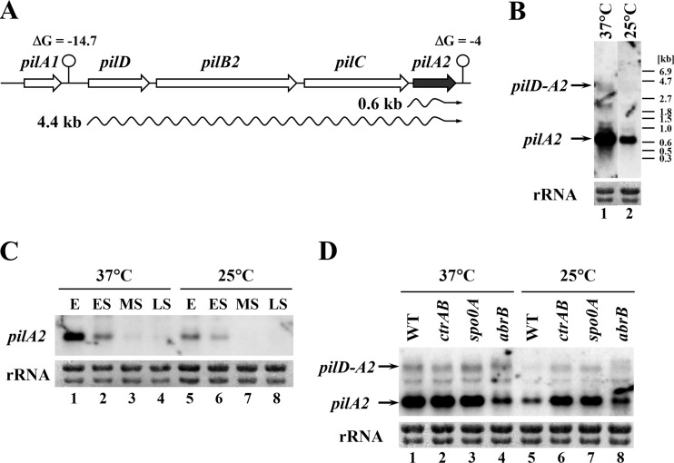 FIG 5