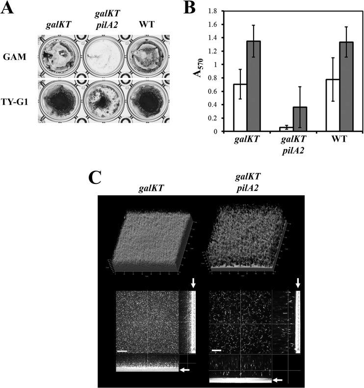 FIG 6