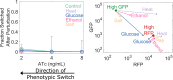 Figure 3—figure supplement 3.