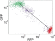 Figure 4—figure supplement 2.