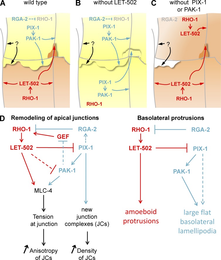 Figure 10.