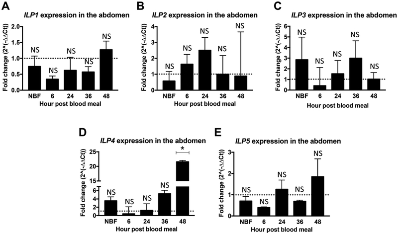 Figure 2: