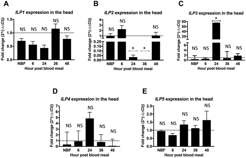 Figure 1: