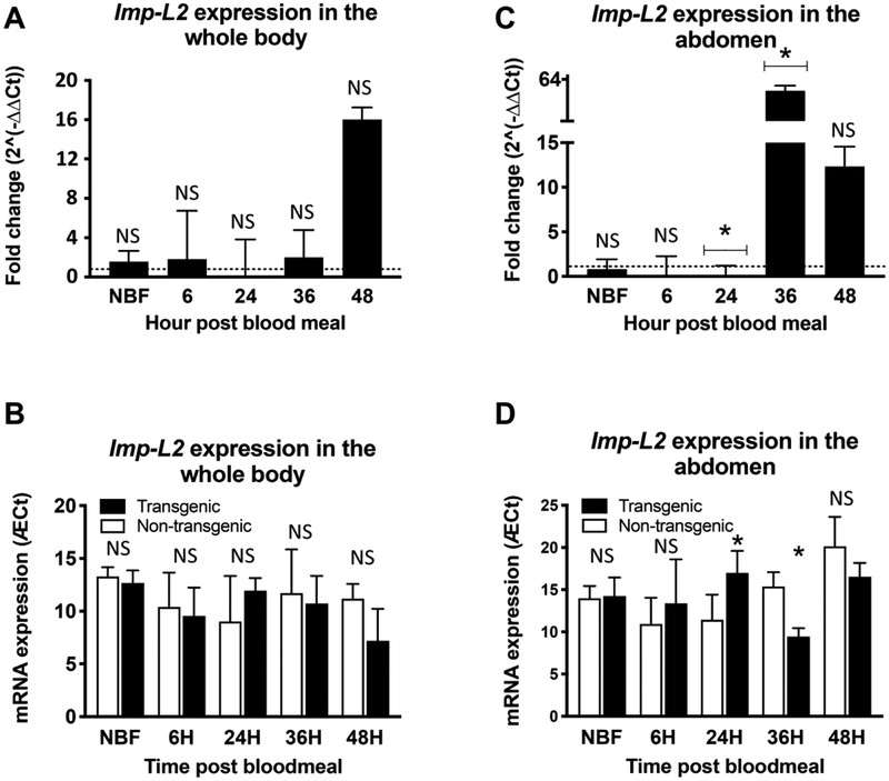 Figure 3: