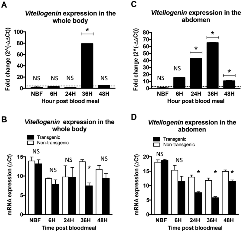 Figure 4: