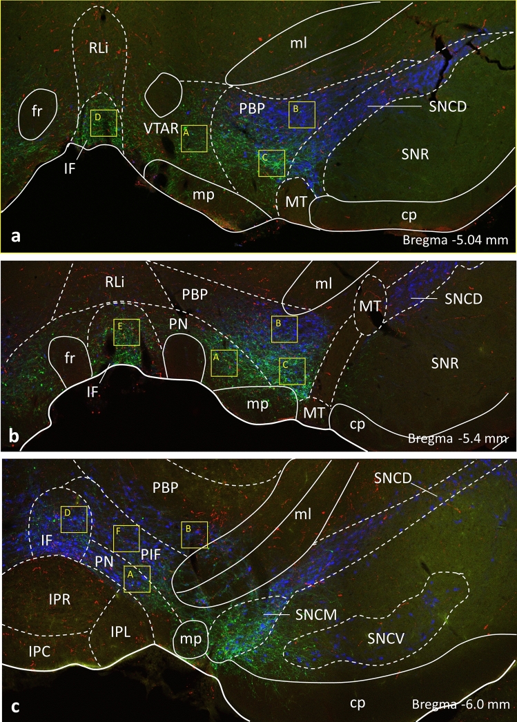 Fig. 2