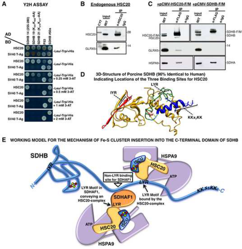 Figure 7.