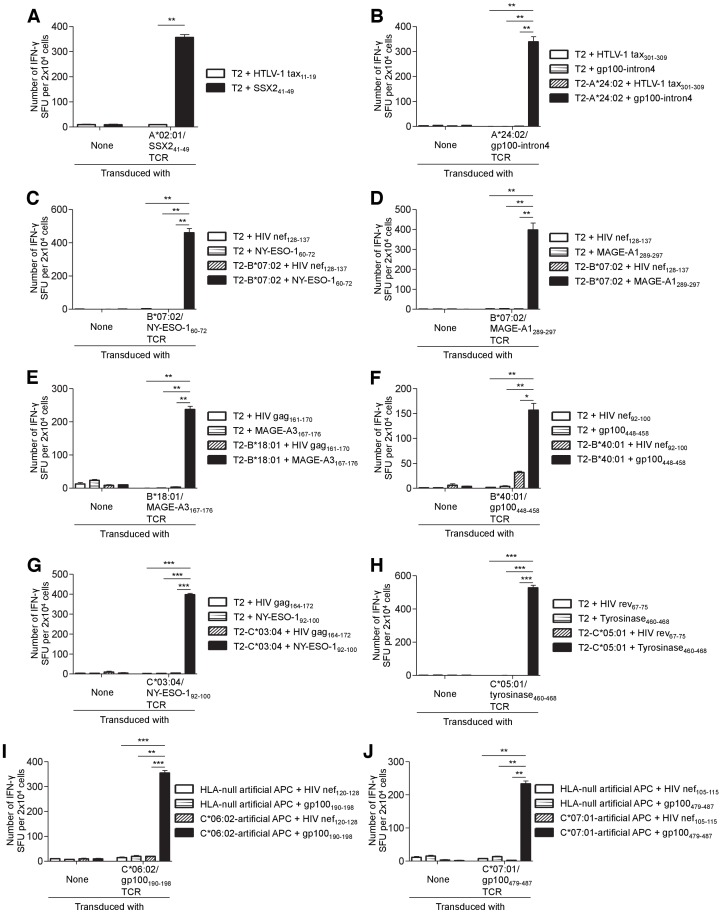 Figure 5—figure supplement 4.