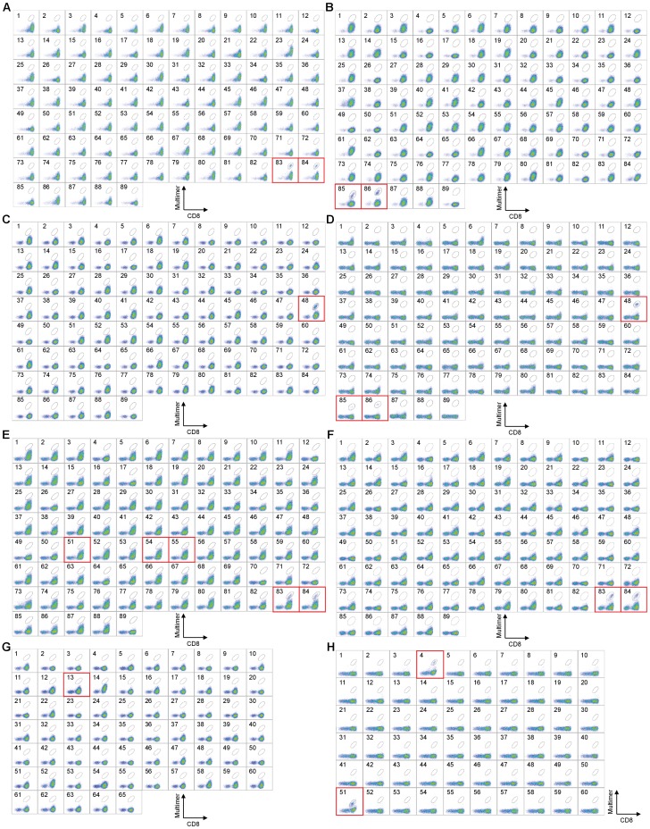 Figure 1—figure supplement 1.