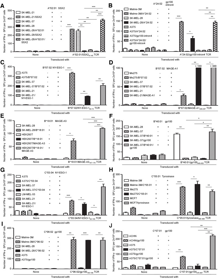 Figure 5—figure supplement 5.