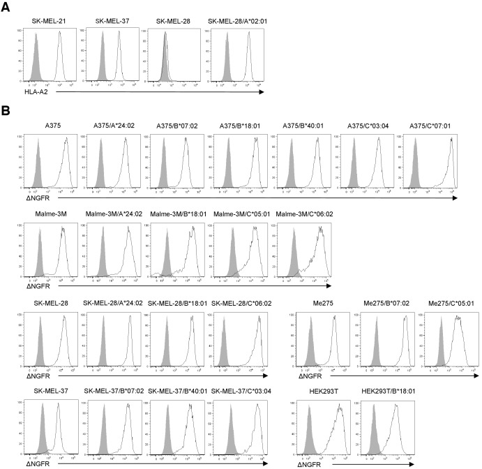 Figure 5—figure supplement 7.