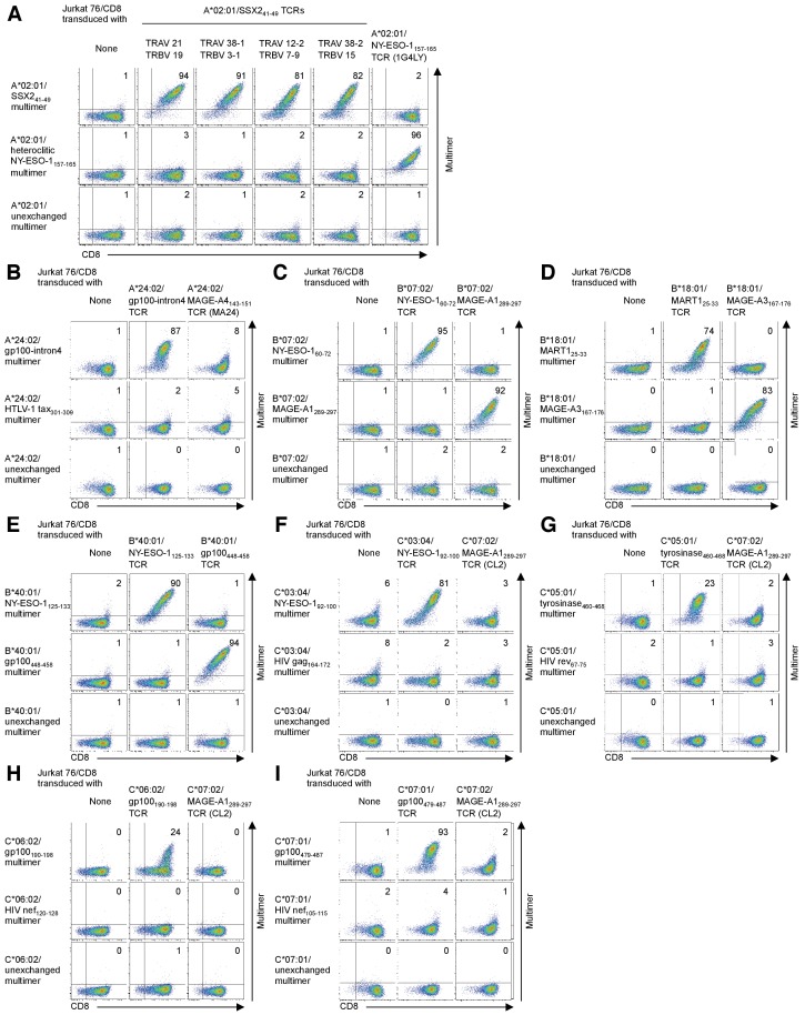 Figure 5—figure supplement 2.