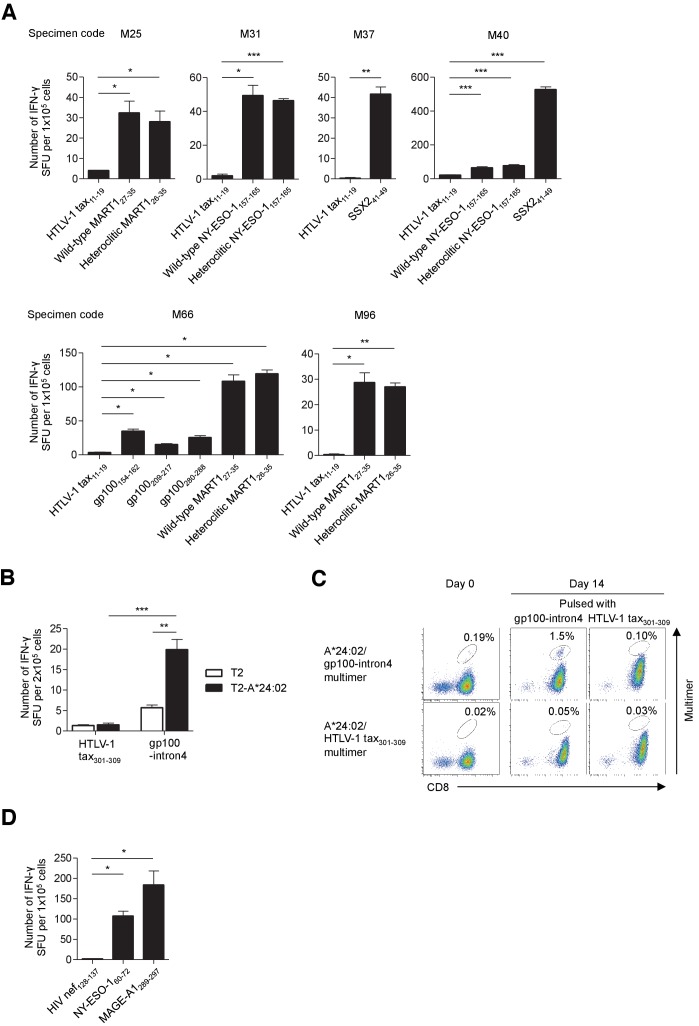 Figure 2—figure supplement 1.