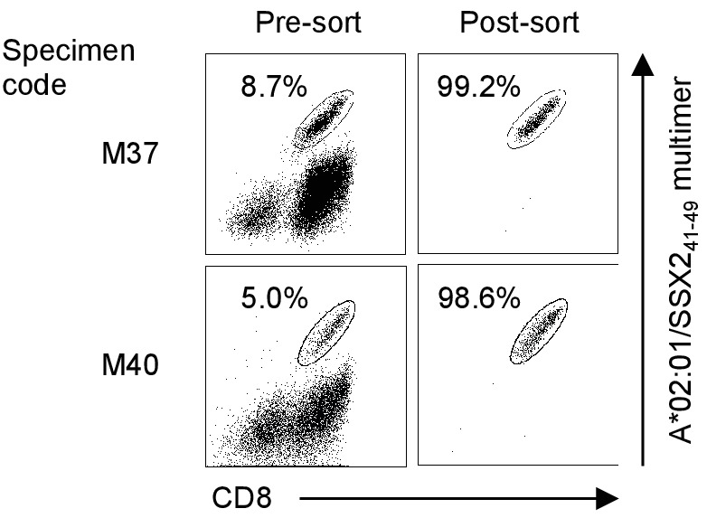 Figure 5—figure supplement 1.