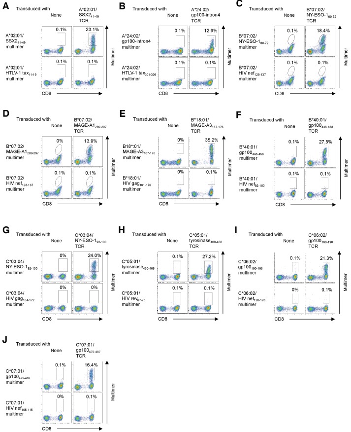 Figure 5—figure supplement 3.