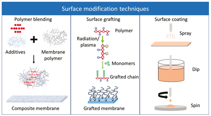 A Review on Membrane Biofouling: Prediction, Characterization, and ...