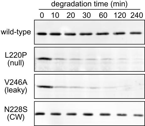 FIG. 6.