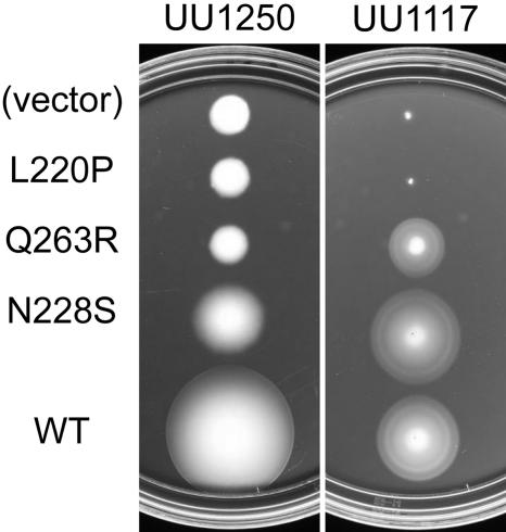 FIG. 4.