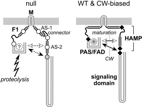 FIG. 9.