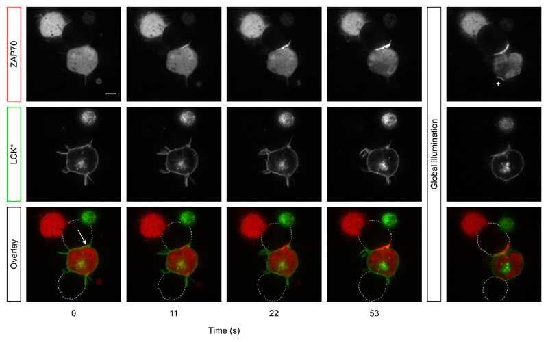 Figure 6