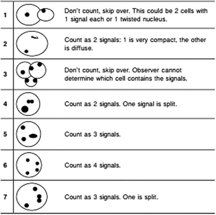 Supplementary Fig. 1