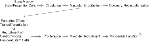 CLC-22381-FIG-0001-b