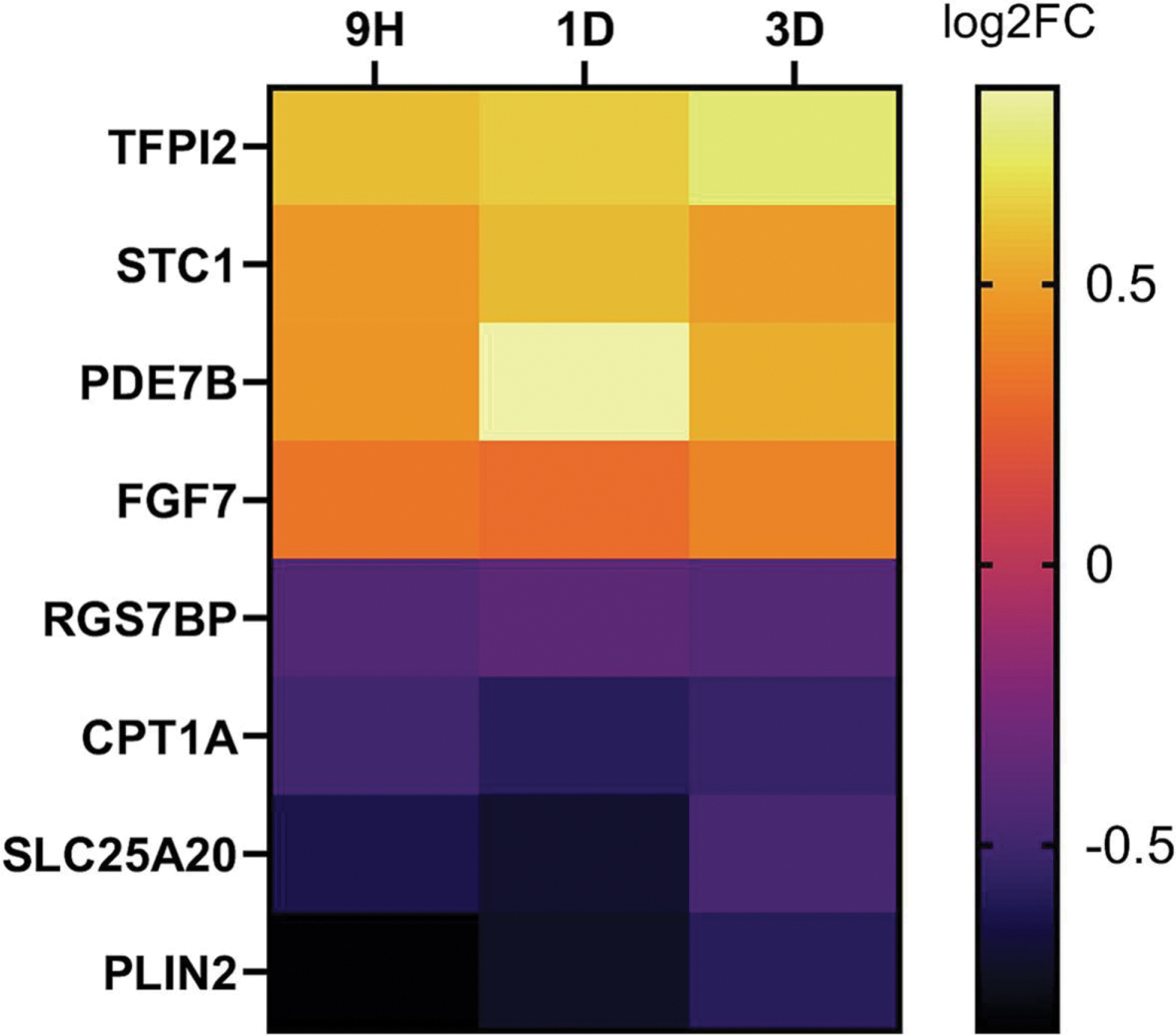 Figure 4: