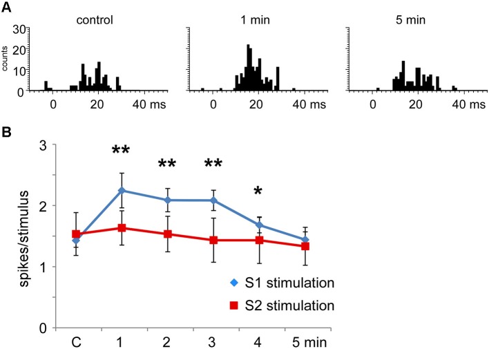 Figure 6