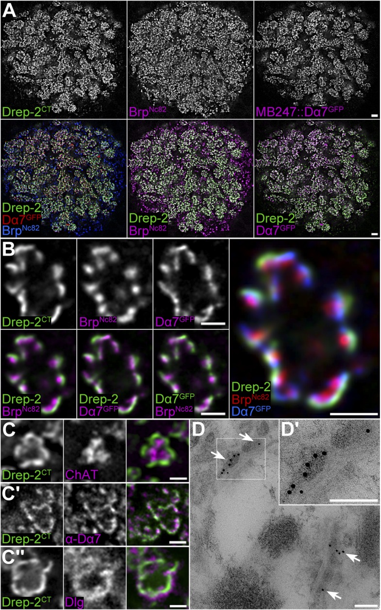 Figure 4.