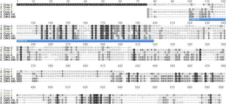 Figure 1—figure supplement 1.