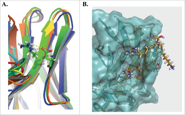 Figure 5.